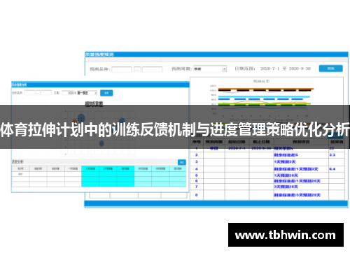 体育拉伸计划中的训练反馈机制与进度管理策略优化分析